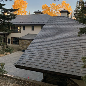 Tile Roof Image - Click to Look at DaVinci Tile
