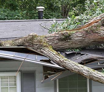 Compass Roofing Images